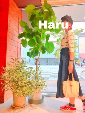 はるさんのコーディネート