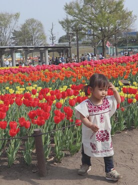 tamaさんのコーディネート