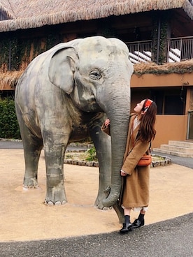 「WEGO（ウィゴー）のアイテム（ヘアバンド）」を使った、chihiroiitakaさん（レディース・162cm）の冬コーディネート