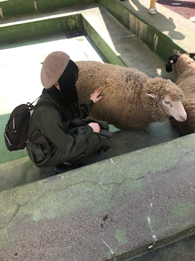 moさんのコーディネート