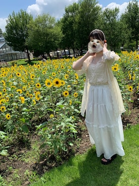 moさんのコーディネート