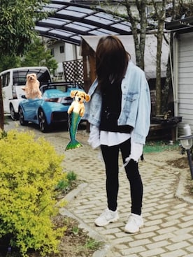 「UNIQLO（ユニクロ）のWOMEN ウルトラストレッチジーンズ（デニムパンツ）」を使った、犬さん（レディース・158cm）の春コーディネート