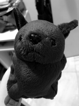 「carpoのアイテム（ポスター/アート、ブラック系）」を使った、tenderさん（レディース・153cm）の秋コーディネート