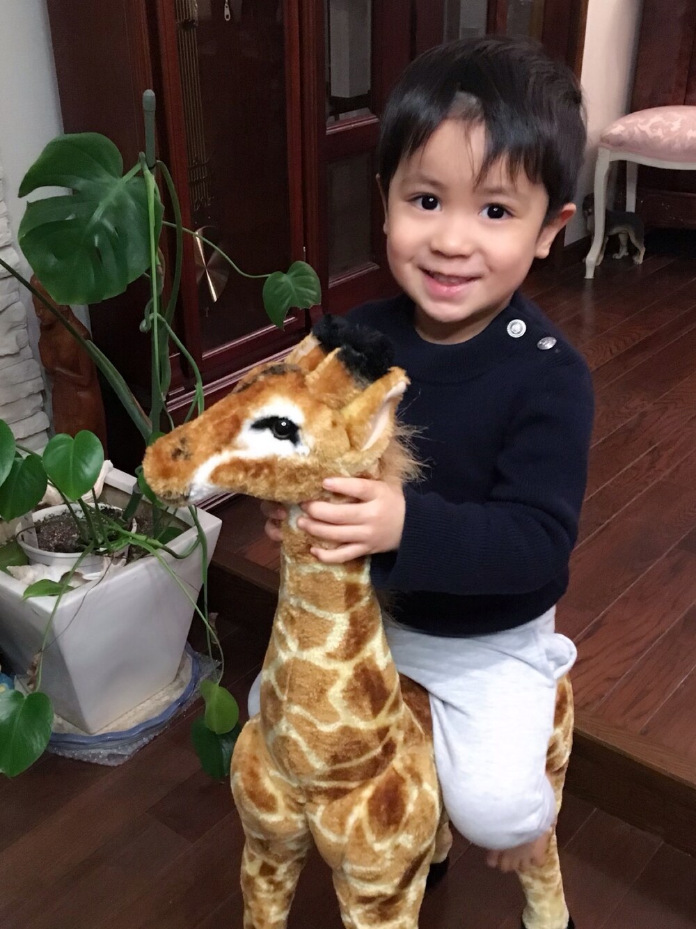 「PETIT BATEAUのアイテム（ニット/セーター、ブラック系）」を使った、Kappaさん（キッズ・100cm）の春コーディネートの1枚目の写真