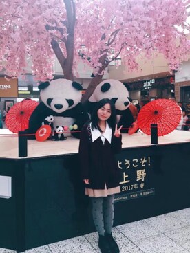 小白鸽子さんのコーディネート