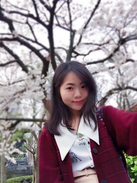 小白鸽子さんのコーディネート