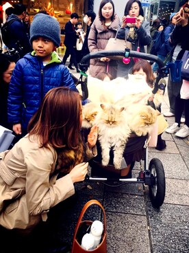 Joy Wangさんのコーディネート