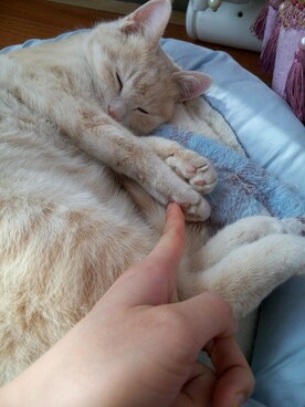 小野さんのコーディネート