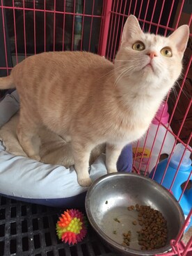 小野さんのコーディネート