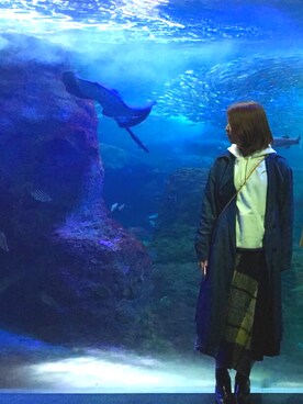m---＊さん（レディース・156cm）の春コーディネート