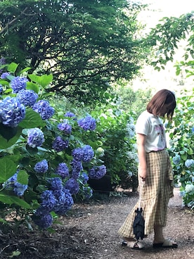 m---*さん(レディース・156cm)の夏コーディネート