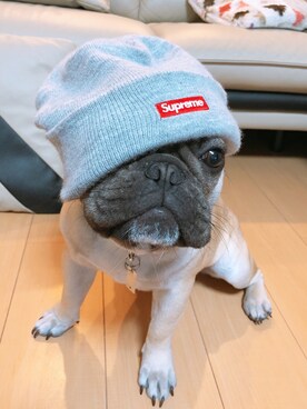 リょゥさんのコーディネート