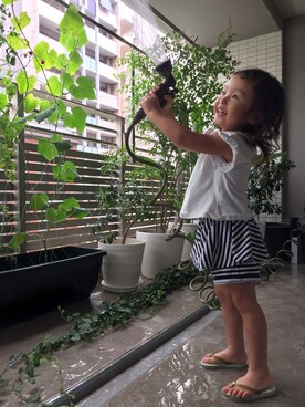 cocoonoocncさん（キッズ・100cm）の夏コーディネート