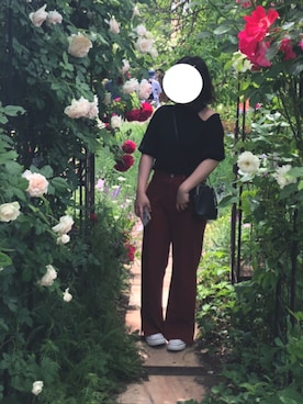 小さんのコーディネート