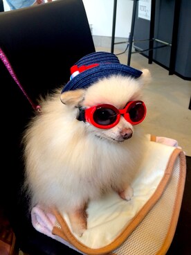 maimaiさんのコーディネート