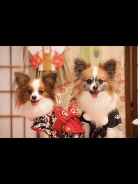 maimaiさんのコーディネート