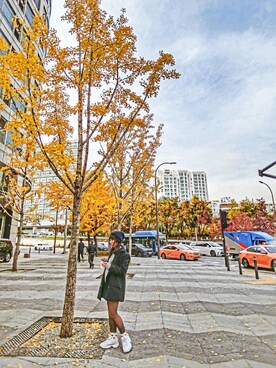 Krystalさん(レディース・160cm)の秋コーディネート