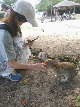 たまみやさんのコーディネート