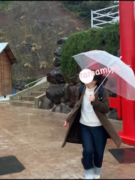 「UNIQLO（ユニクロ）のハイライズワイドストレートジーンズ（デニムパンツ）」を使った、たまみやさん（レディース・159cm）の冬コーディネート