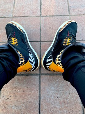 newwtnbさんのコーディネート