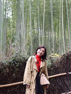 ぺさんのコーディネート