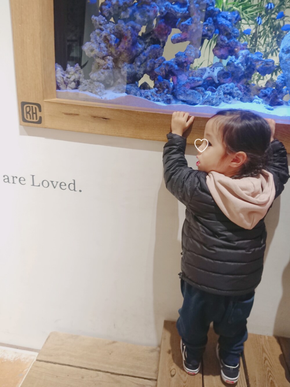 「冬コーデ、カジュアル、パーカー、ダントン、女の子コーデ、VANS」｜「DANTONの【DANTON】ダントンインナーダウンジャケット（ダウンジャケット/コート、ブラック系）」を使った、MIKさん（キッズ・110cm）の冬コーディネートの1枚目の写真