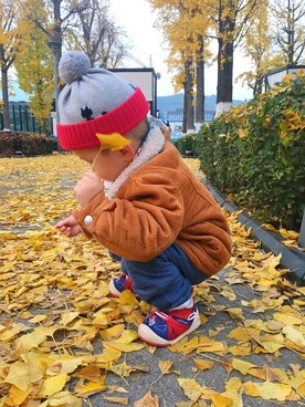 思嘉莉さんのコーディネート