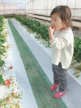 hanacoさんのコーディネート