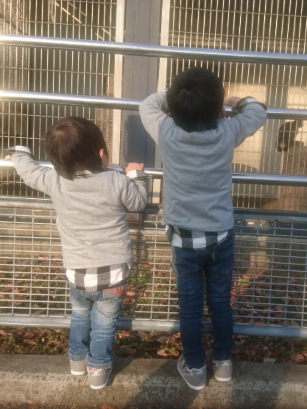 「スヌーピー、動物園、兄弟、おそろ、ネルシャツ、キッズコーデ、110cm、100cm、120cm」｜「NEW BALANCEのアイテム（スニーカー、グレー系）」を使った、tk-andさん（キッズ・110cm）の冬コーディネートの1枚目の写真