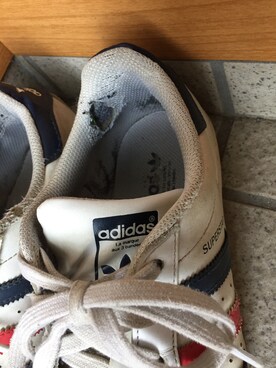 タラークさんのコーディネート