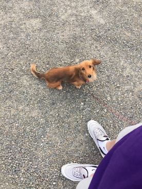 タラークさんのコーディネート