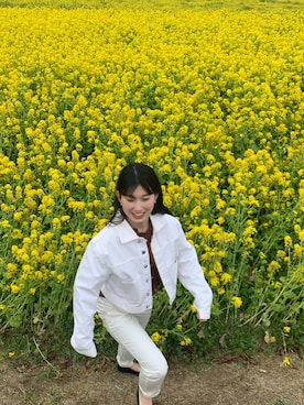 リリィさん（レディース・147cm）の春コーディネート