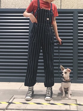 puppyleleさんのコーディネート