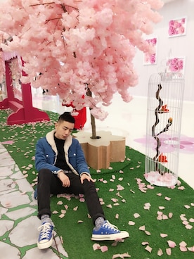 大猫不是喵さんのコーディネート