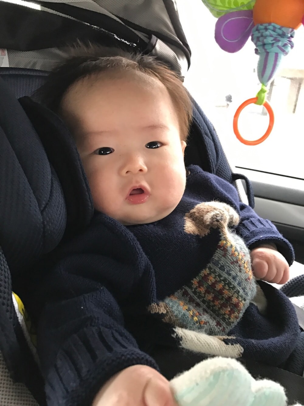 「赤ちゃん、男の子」｜「POLO RALPH LAURENのドッグ コットン セーター（ニット/セーター、ブルー系）」を使った、Haruさん（キッズ・60cm）の春コーディネートの1枚目の写真