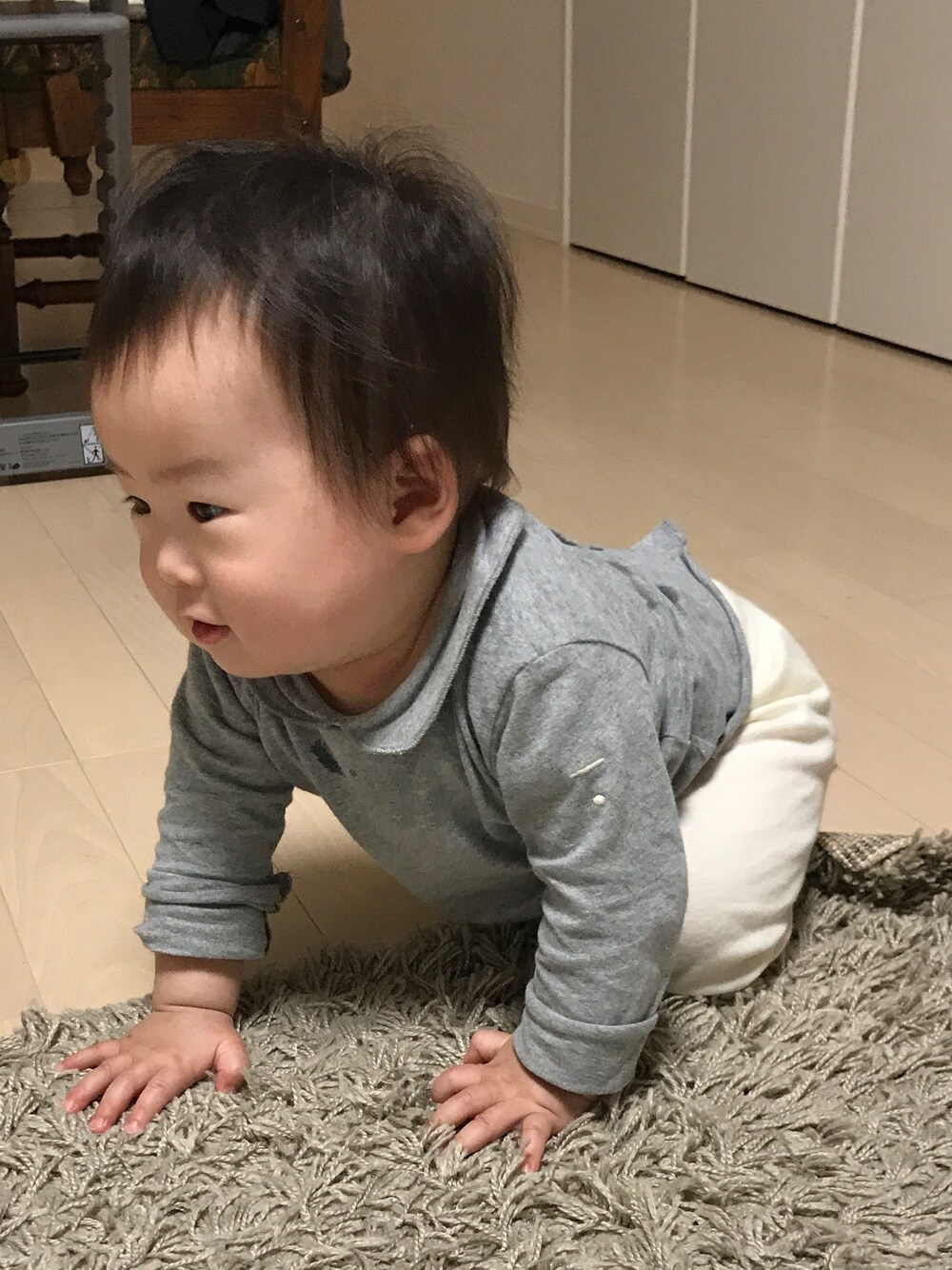 「9カ月、赤ちゃん、男の子、秋服、保育園コーデ」｜「gray labelのアイテム（Tシャツ/カットソー、グレー系）」を使った、Haruさん（キッズ・60cm）の秋コーディネートの1枚目の写真