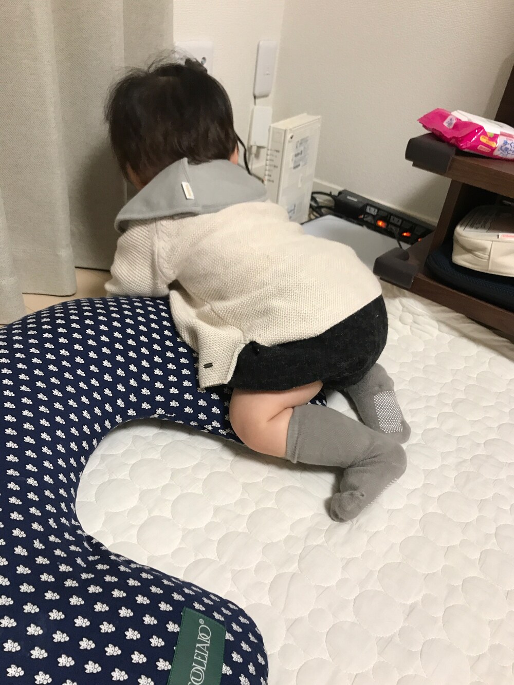 「10ヶ月、赤ちゃん、男の子、かぼちゃパンツ」｜「ZARA KIDSのアイテム（ニット/セーター、ホワイト系）」を使った、Haruさん（キッズ・60cm）の秋コーディネートの1枚目の写真