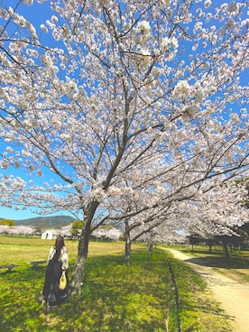 s712さん(レディース・151cm)の春コーディネート