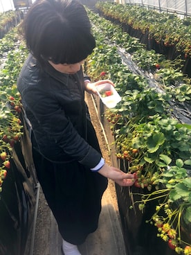 「LAVENHAM（ラベンハム）のアイテム（ブルゾン）」を使った、__yama__さん（レディース・163cm）の春コーディネート