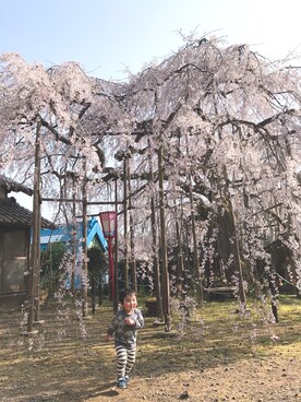 haroさんのコーディネート