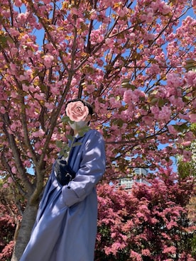 harukiさんのコーディネート