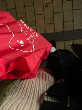 「SVEC（シュベック）のカンフーシューズ kung fu Shoes / ストラップパンプス（バレエシューズ）」を使った、リトルミイさん（レディース・163cm）の冬コーディネート