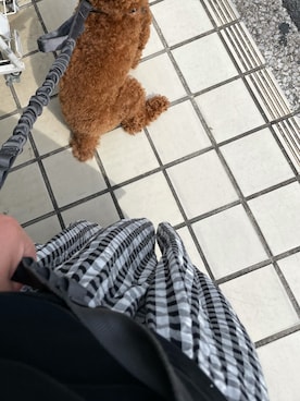 「CLASKA Gallery & Shop "DO"（クラスカ ギャラリー＆ショップ　ドー）のアイテム」を使った、リトルミイさん（レディース・163cm）の夏コーディネート