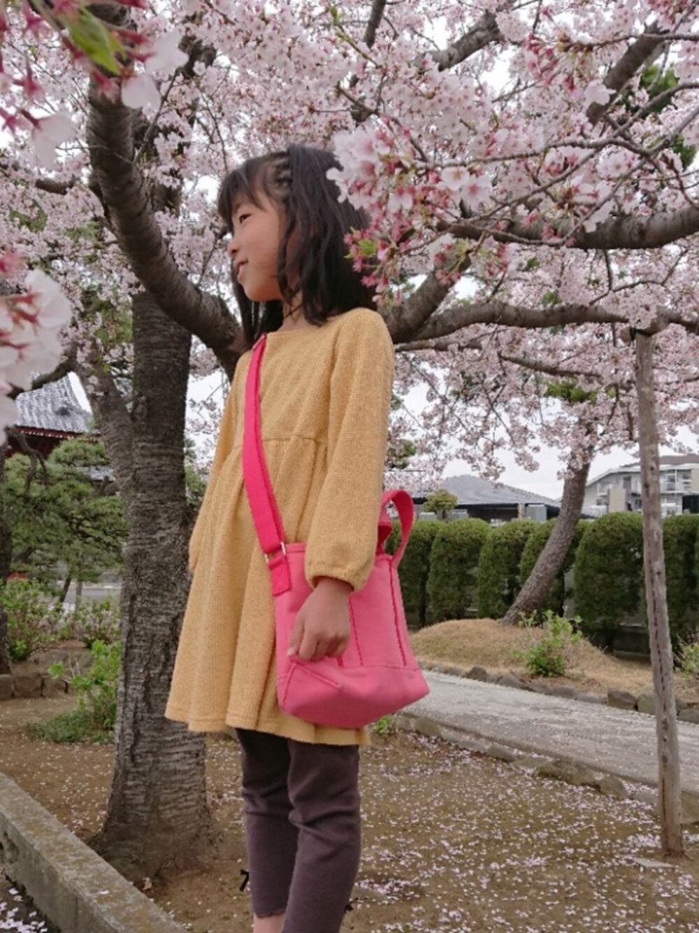 「桜、イエローワンピース、ワッフルワンピース、レギンス、コンバース、スリッポン、女の子、通学コーデ、平成最後のWEARISTAセンバツ、女の子コーデ」｜「Catherine Cottageのワッフルナチュラルワンピース（ワンピース、イエロー系）」を使った、saramimiさん（キッズ・120cm）の春コーディネートの1枚目の写真