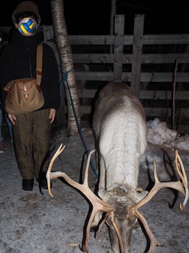 いとーさん（メンズ・165cm）の冬コーディネート