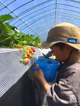 2769さんのコーディネート