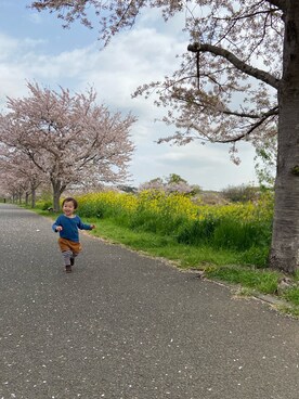 kyaさんのコーディネート