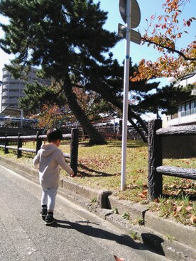 はるたんさんのコーディネート