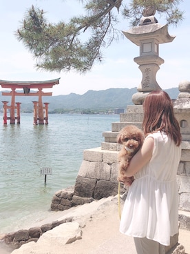 mさんのコーディネート