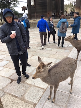 「roots（ルーツ）のアイテム」を使った、陳晢瑄さん（メンズ・172cm）の冬コーディネート